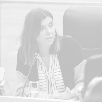 Falta esa instancia de diálogo que es muy importante en un parlamento. Ahí me parece que hay una tarea pendiente