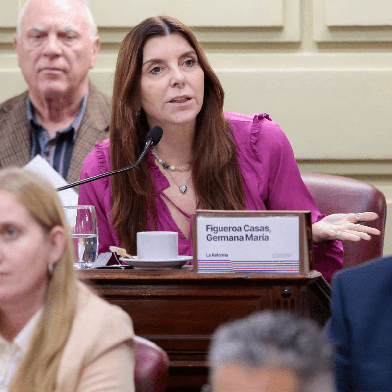 Figueroa Casas: «El problema es que el Congreso está tratando de subsanar algo que no está haciendo el Ejecutivo»