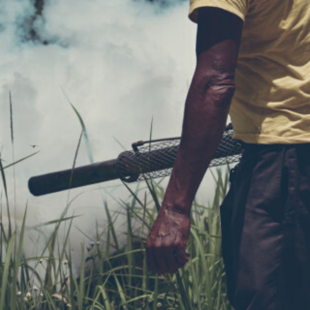 Solicitan detalle sobre fumigaciones contra el dengue 